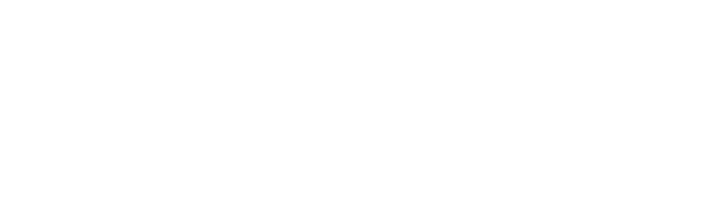 DejaVu